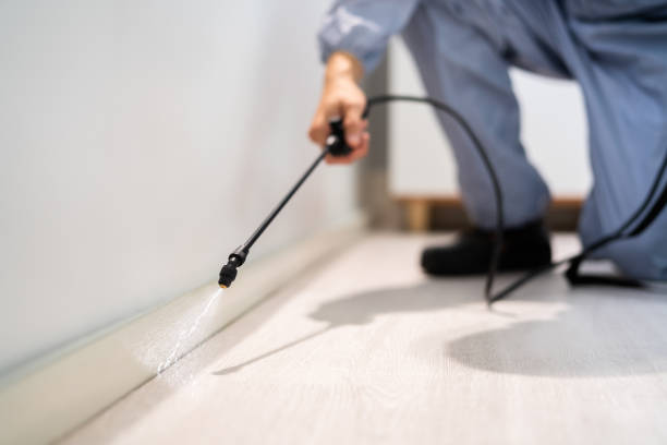 Licensed Pest Control service in Jonesville, LA - Show Me Pest Control