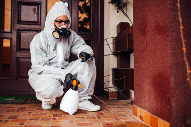 Reliable Wasp Removal contractor in Jonesville, LA by Show Me Pest Control